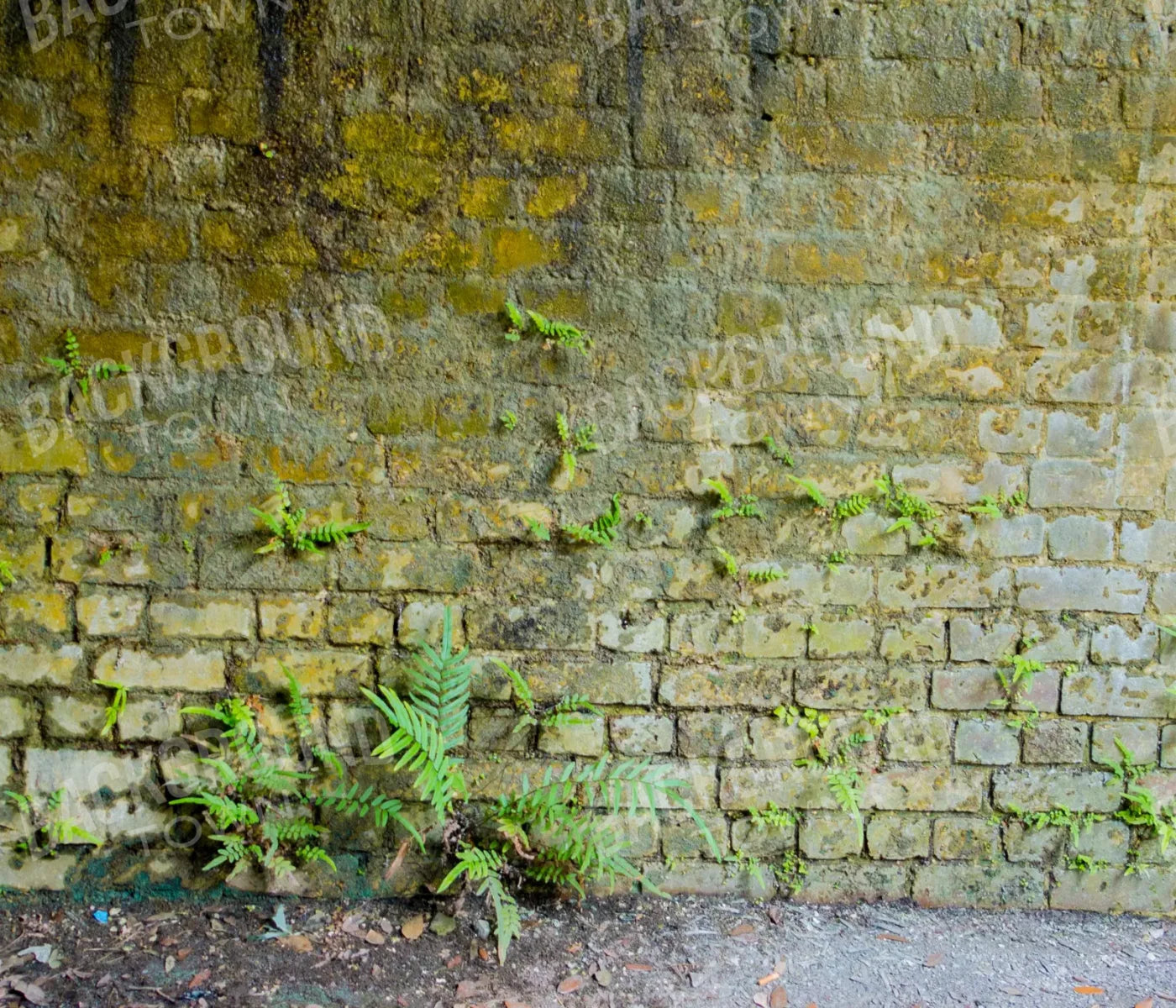 Moss Wall 1 12X10 Ultracloth ( 144 X 120 Inch ) Backdrop