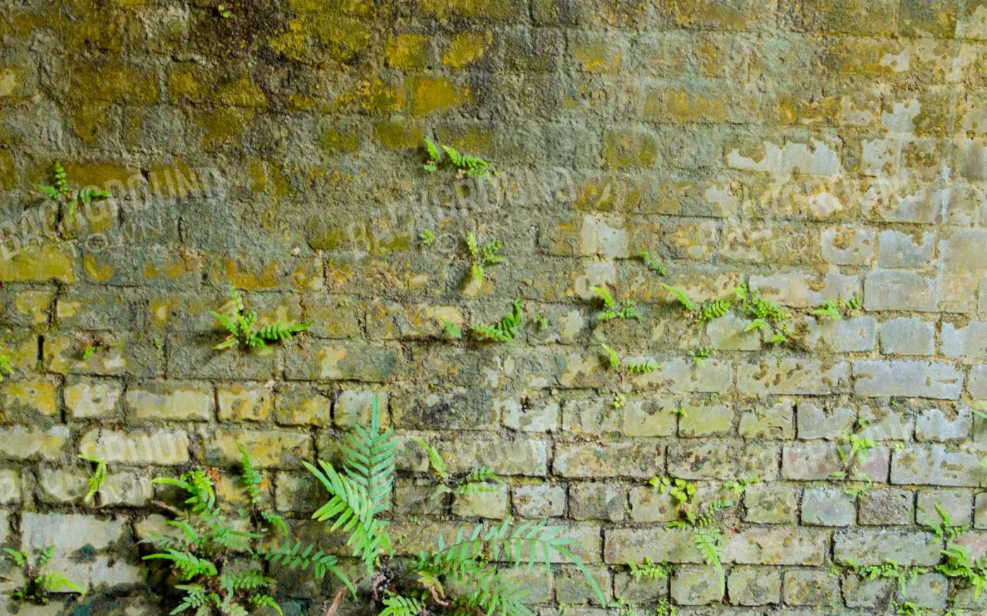 Moss Wall 1 14X9 Ultracloth ( 168 X 108 Inch ) Backdrop