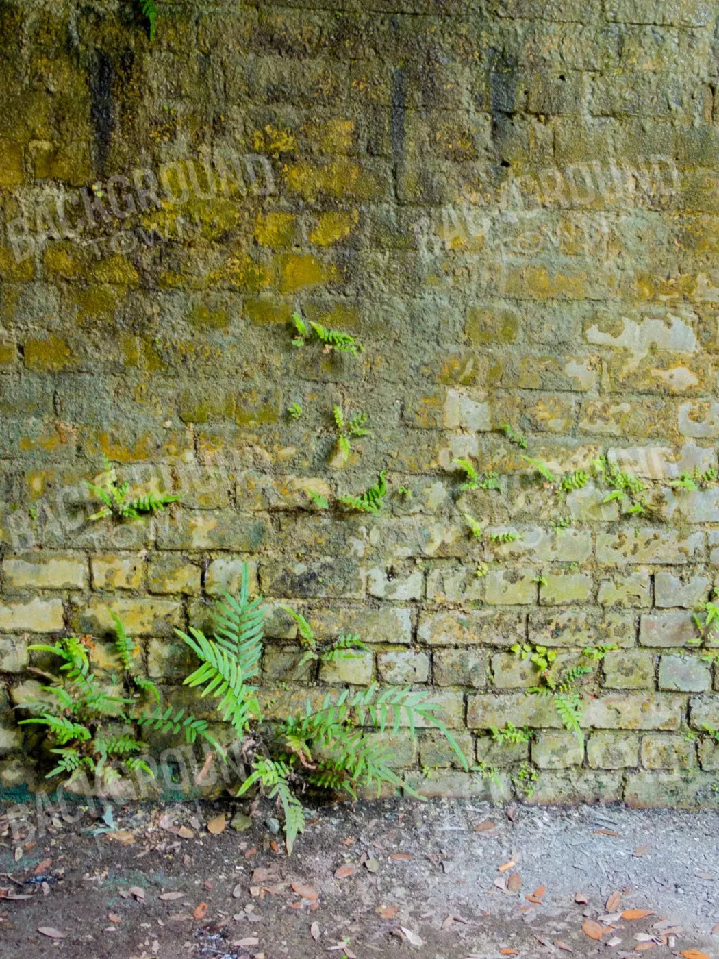 Moss Wall 1 5X7 Ultracloth ( 60 X 84 Inch ) Backdrop