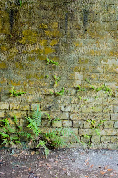 Moss Wall 1 5X8 Ultracloth ( 60 X 96 Inch ) Backdrop
