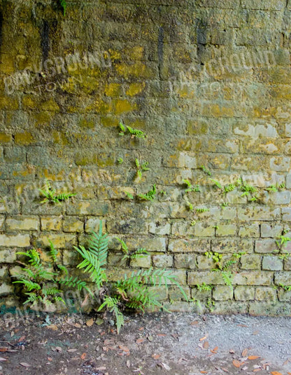 Moss Wall 1 6X8 Fleece ( 72 X 96 Inch ) Backdrop