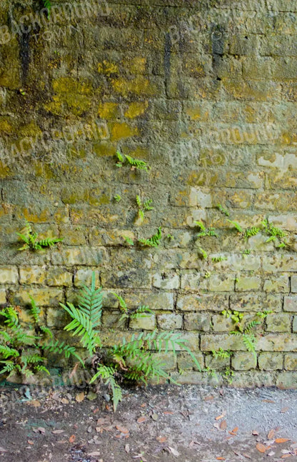 Moss Wall 1 8X12 Ultracloth ( 96 X 144 Inch ) Backdrop
