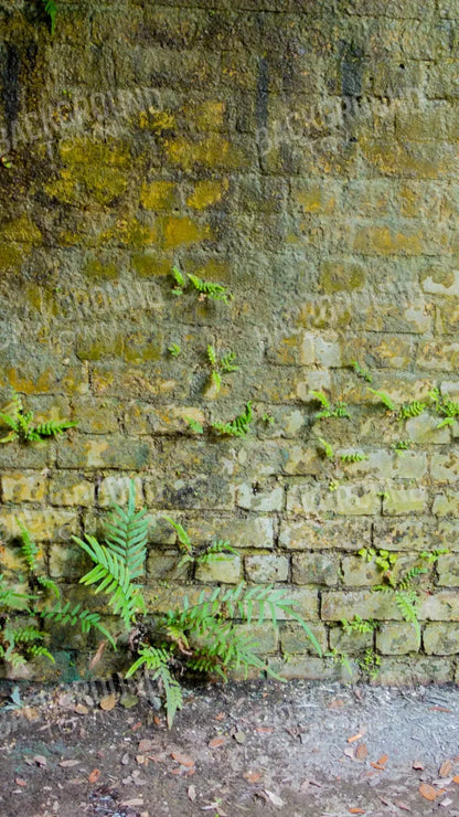 Moss Wall 1 8X14 Ultracloth ( 96 X 168 Inch ) Backdrop