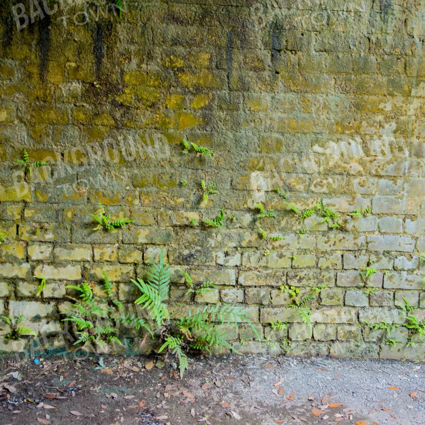 Moss Wall 1 8X8 Fleece ( 96 X Inch ) Backdrop