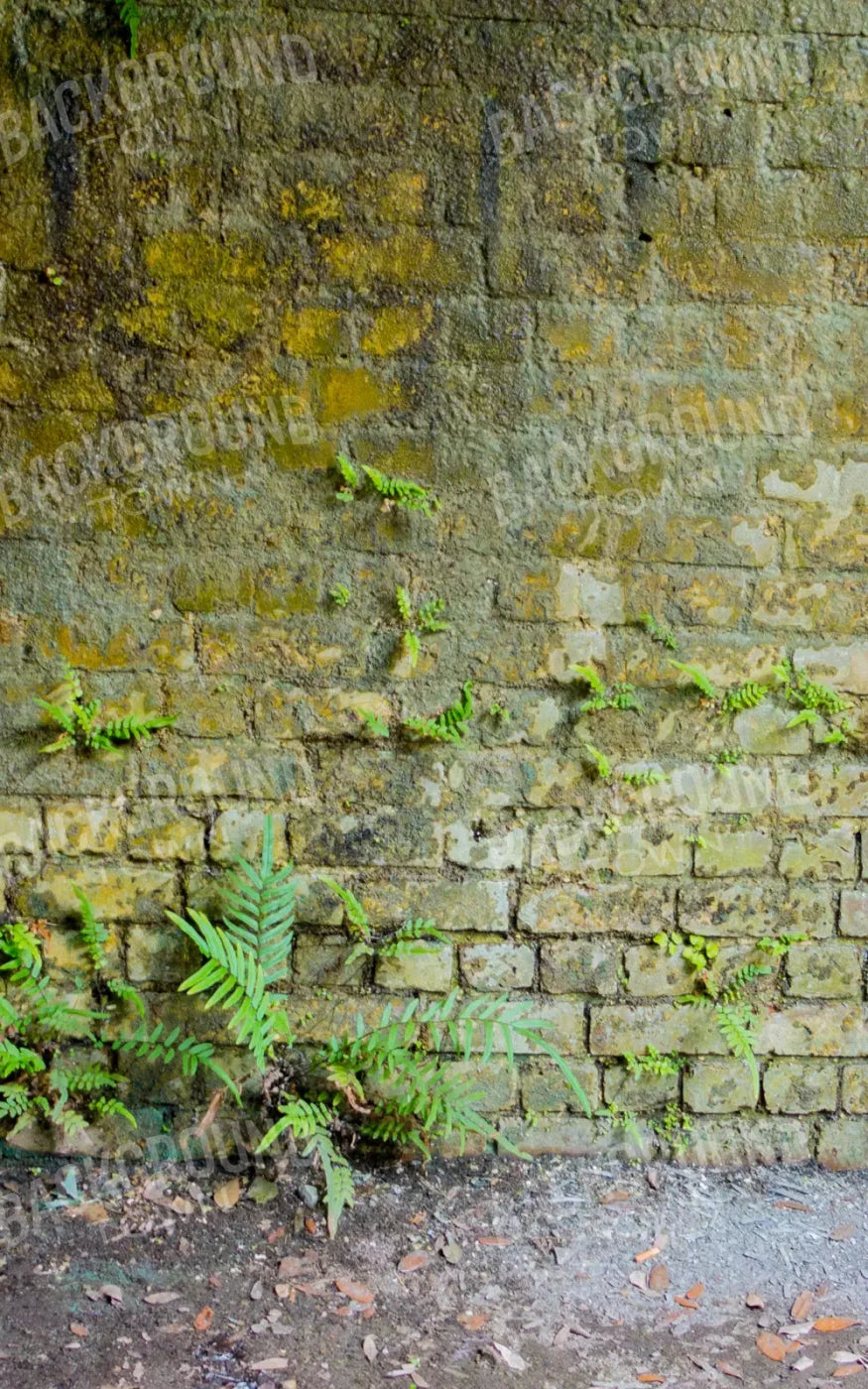 Moss Wall 1 9X14 Ultracloth ( 108 X 168 Inch ) Backdrop