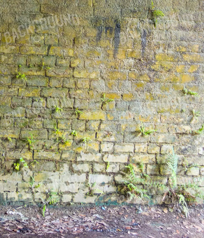 Moss Wall 2 10X12 Ultracloth ( 120 X 144 Inch ) Backdrop