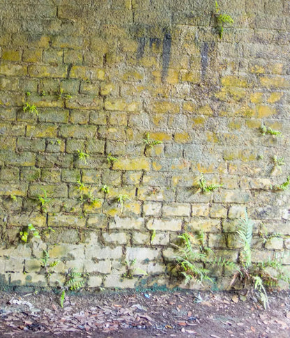 Moss Wall 2 10X12 Ultracloth ( 120 X 144 Inch ) Backdrop