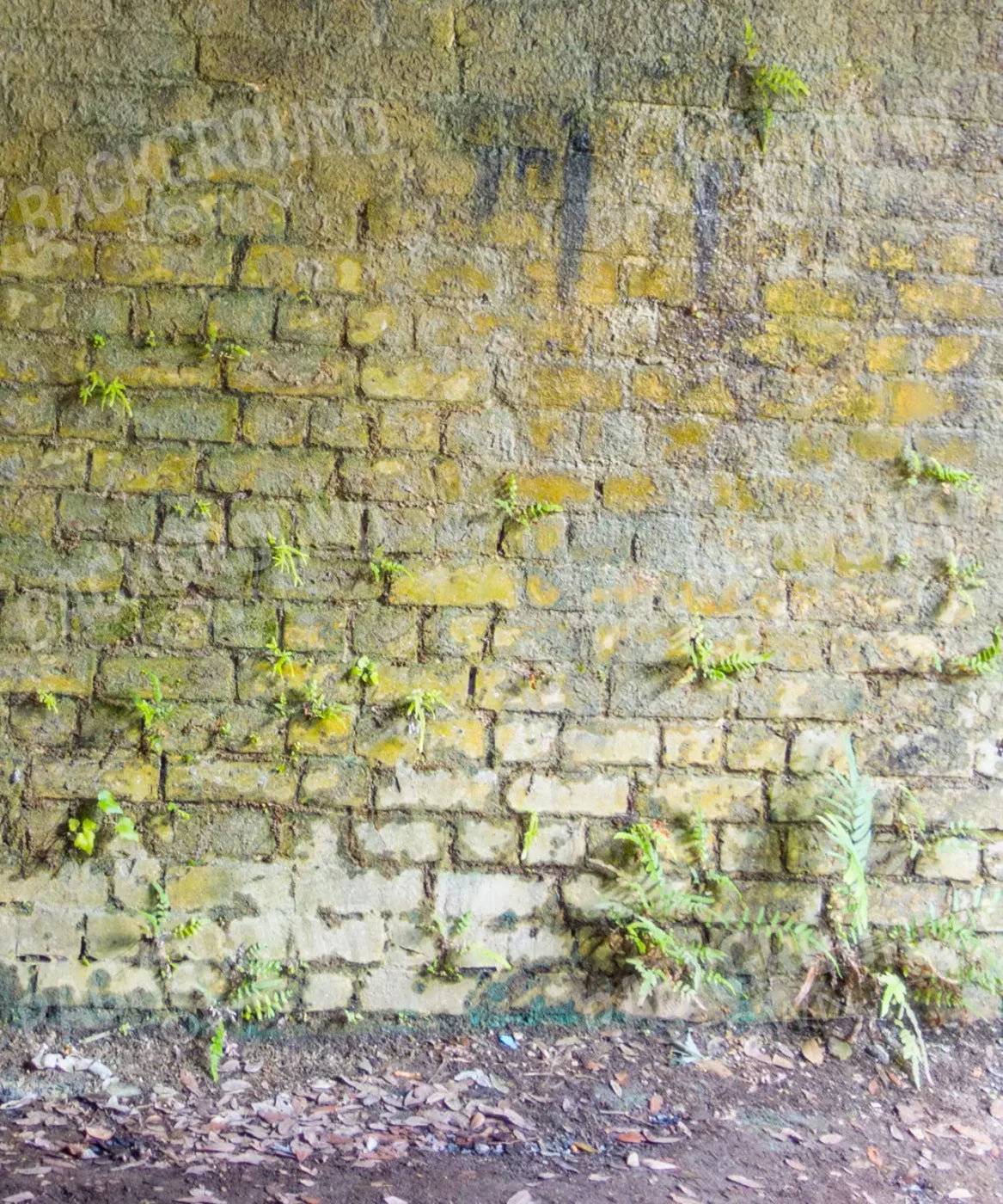 Green Brick and Stone Backdrop for Photography