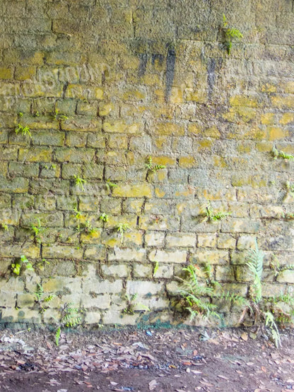 Moss Wall 2 5X68 Fleece ( 60 X 80 Inch ) Backdrop