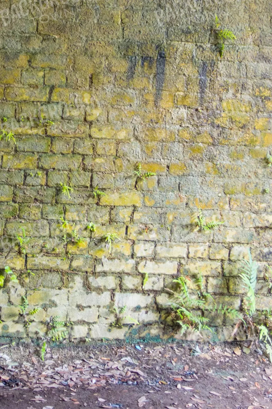 Moss Wall 2 5X8 Ultracloth ( 60 X 96 Inch ) Backdrop