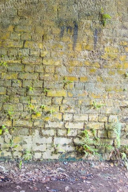 Moss Wall 2 5X8 Ultracloth ( 60 X 96 Inch ) Backdrop