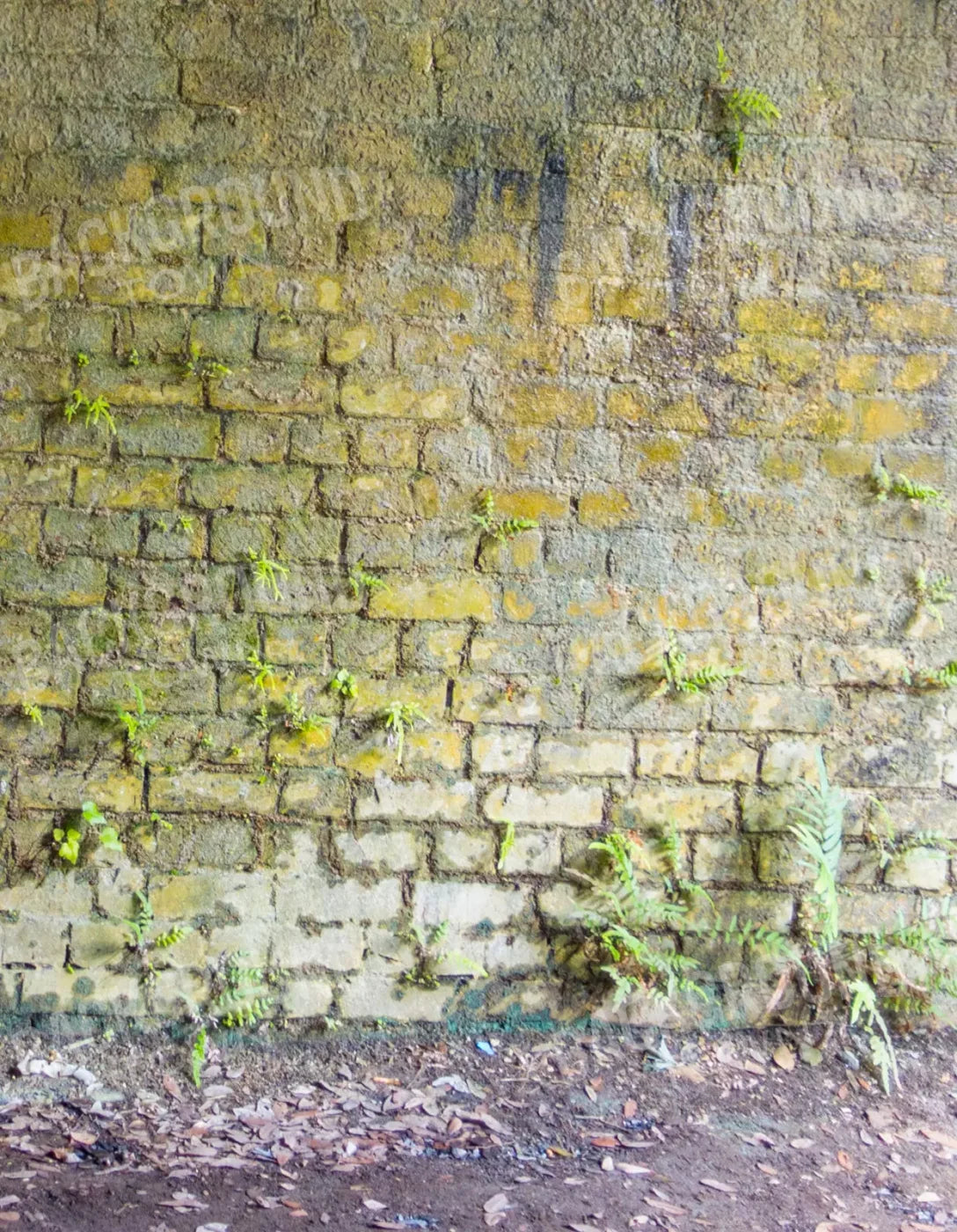 Moss Wall 2 6X8 Fleece ( 72 X 96 Inch ) Backdrop