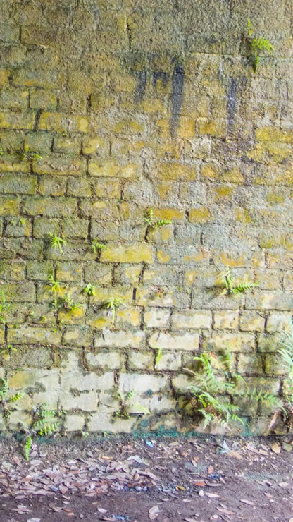Moss Wall 2 8X14 Ultracloth ( 96 X 168 Inch ) Backdrop