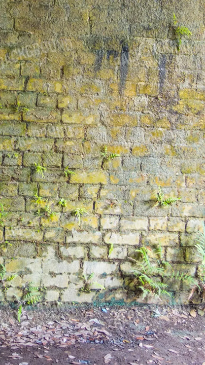 Moss Wall 2 8X14 Ultracloth ( 96 X 168 Inch ) Backdrop
