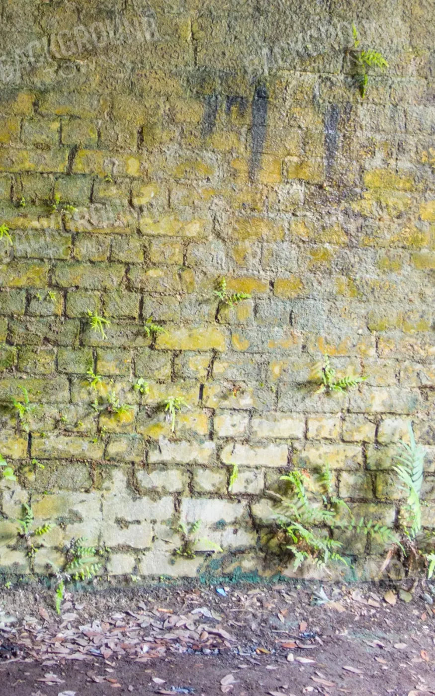 Moss Wall 2 9X14 Ultracloth ( 108 X 168 Inch ) Backdrop