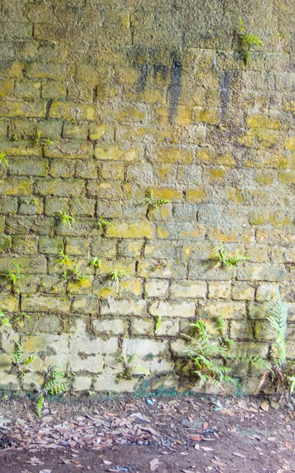 Moss Wall 2 9X14 Ultracloth ( 108 X 168 Inch ) Backdrop
