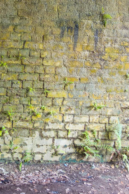 Moss Wall 2 Backdrop