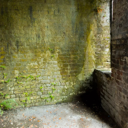 Moss Wall 3 10X10 Ultracloth ( 120 X Inch ) Backdrop