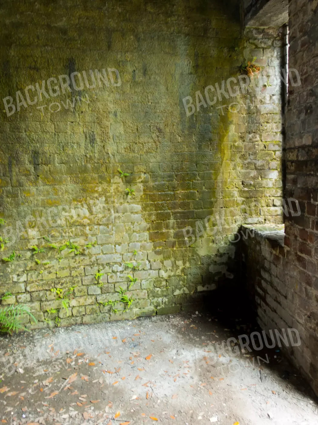 Moss Wall 3 5X68 Fleece ( 60 X 80 Inch ) Backdrop