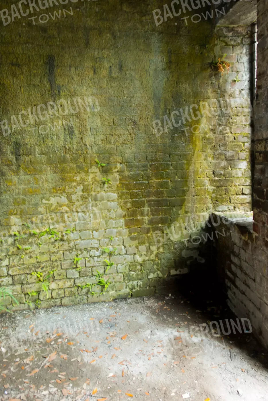 Moss Wall 3 5X8 Ultracloth ( 60 X 96 Inch ) Backdrop