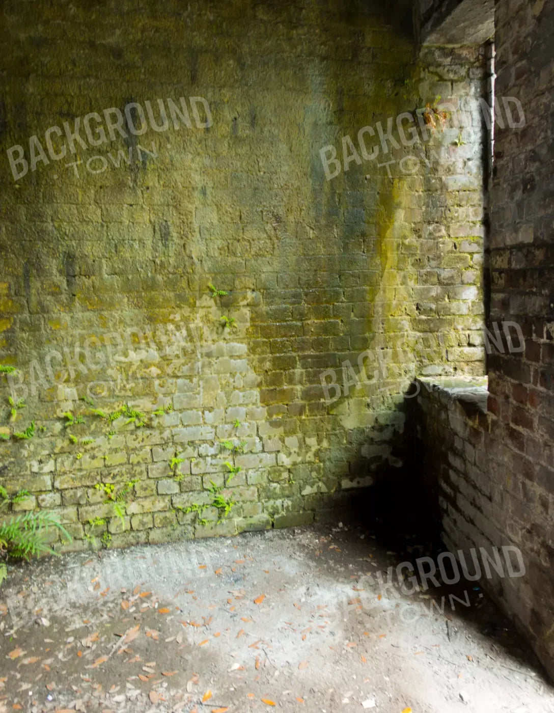 Moss Wall 3 6X8 Fleece ( 72 X 96 Inch ) Backdrop