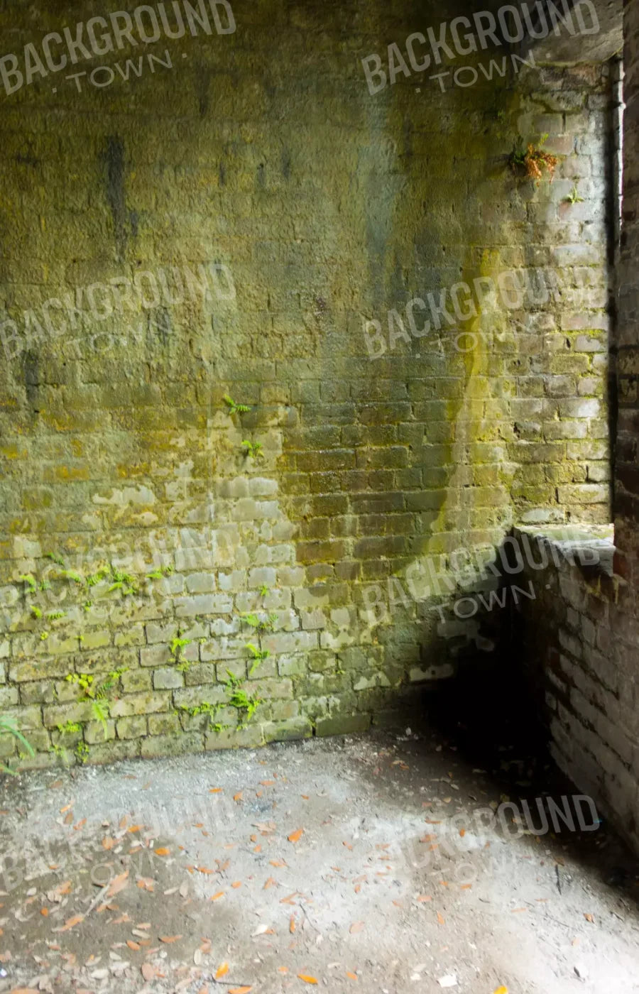 Moss Wall 3 8X12 Ultracloth ( 96 X 144 Inch ) Backdrop