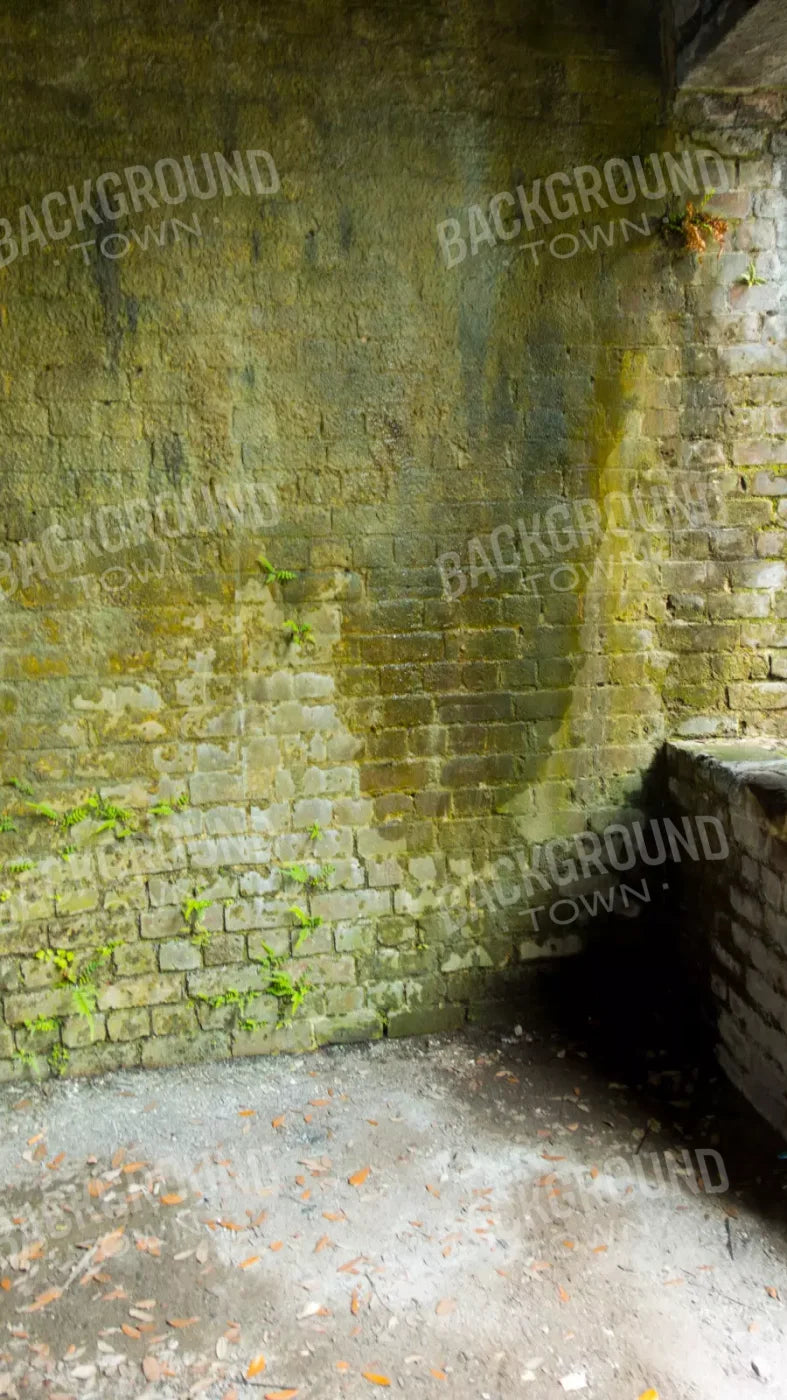 Moss Wall 3 8X14 Ultracloth ( 96 X 168 Inch ) Backdrop