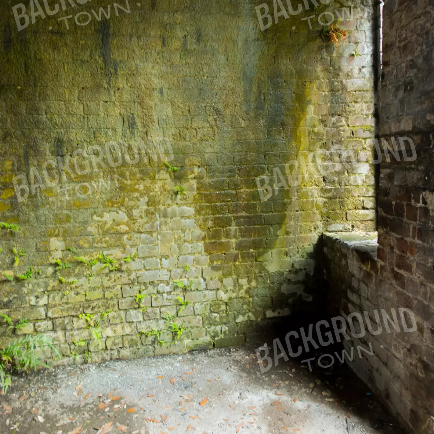 Moss Wall 3 8X8 Fleece ( 96 X Inch ) Backdrop