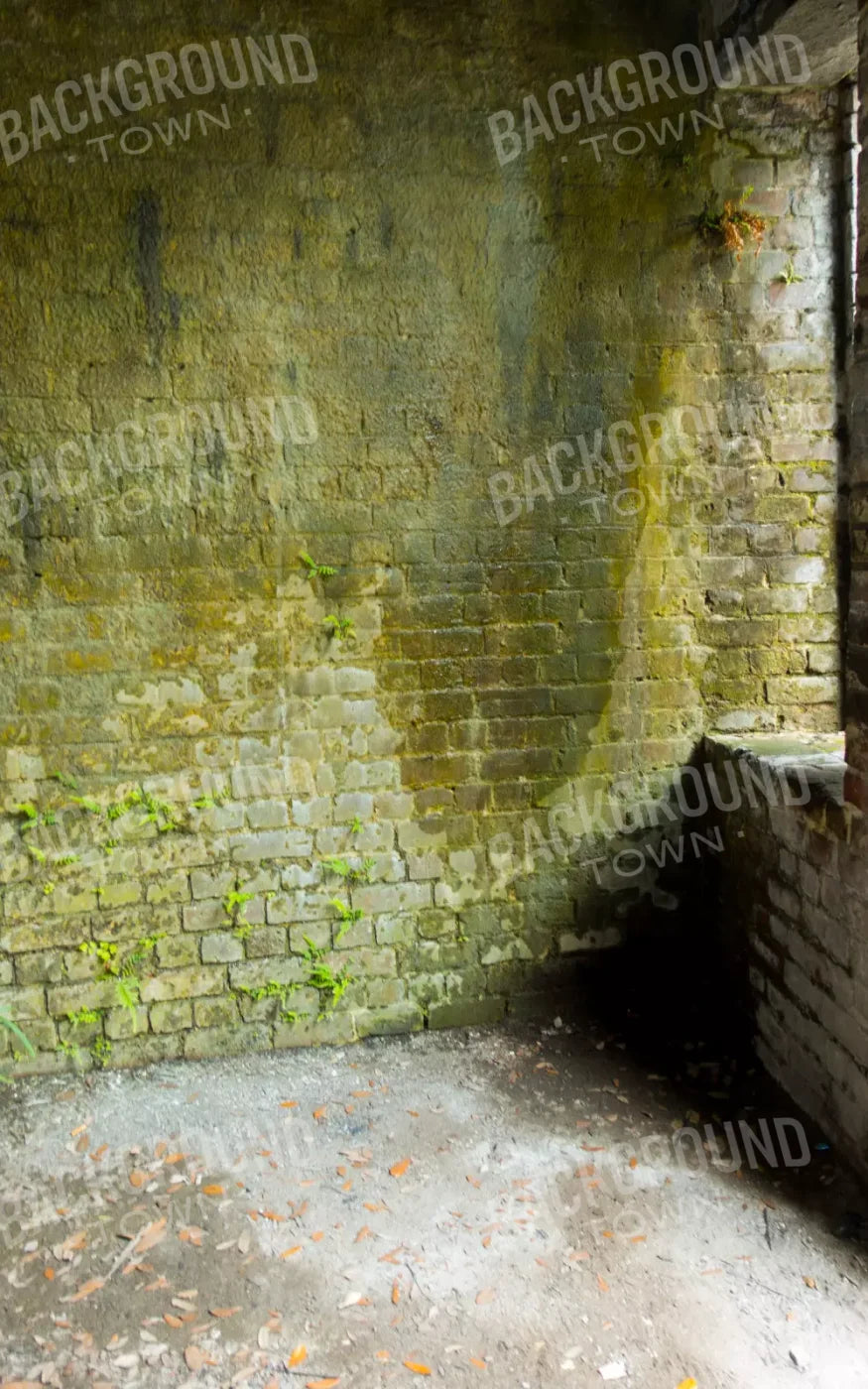 Moss Wall 3 9X14 Ultracloth ( 108 X 168 Inch ) Backdrop