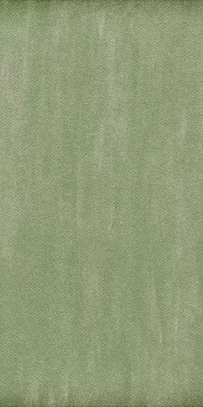Mossy 10X20 Ultracloth ( 120 X 240 Inch ) Backdrop