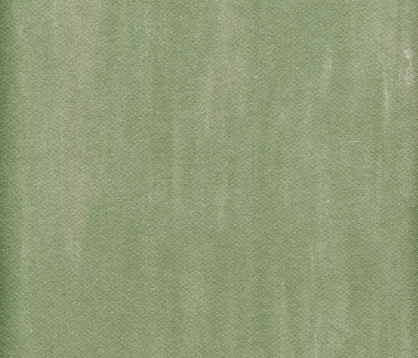 Mossy 12X10 Ultracloth ( 144 X 120 Inch ) Backdrop