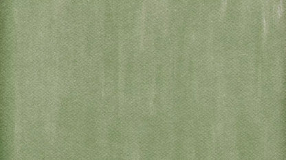 Mossy 14X8 Ultracloth ( 168 X 96 Inch ) Backdrop