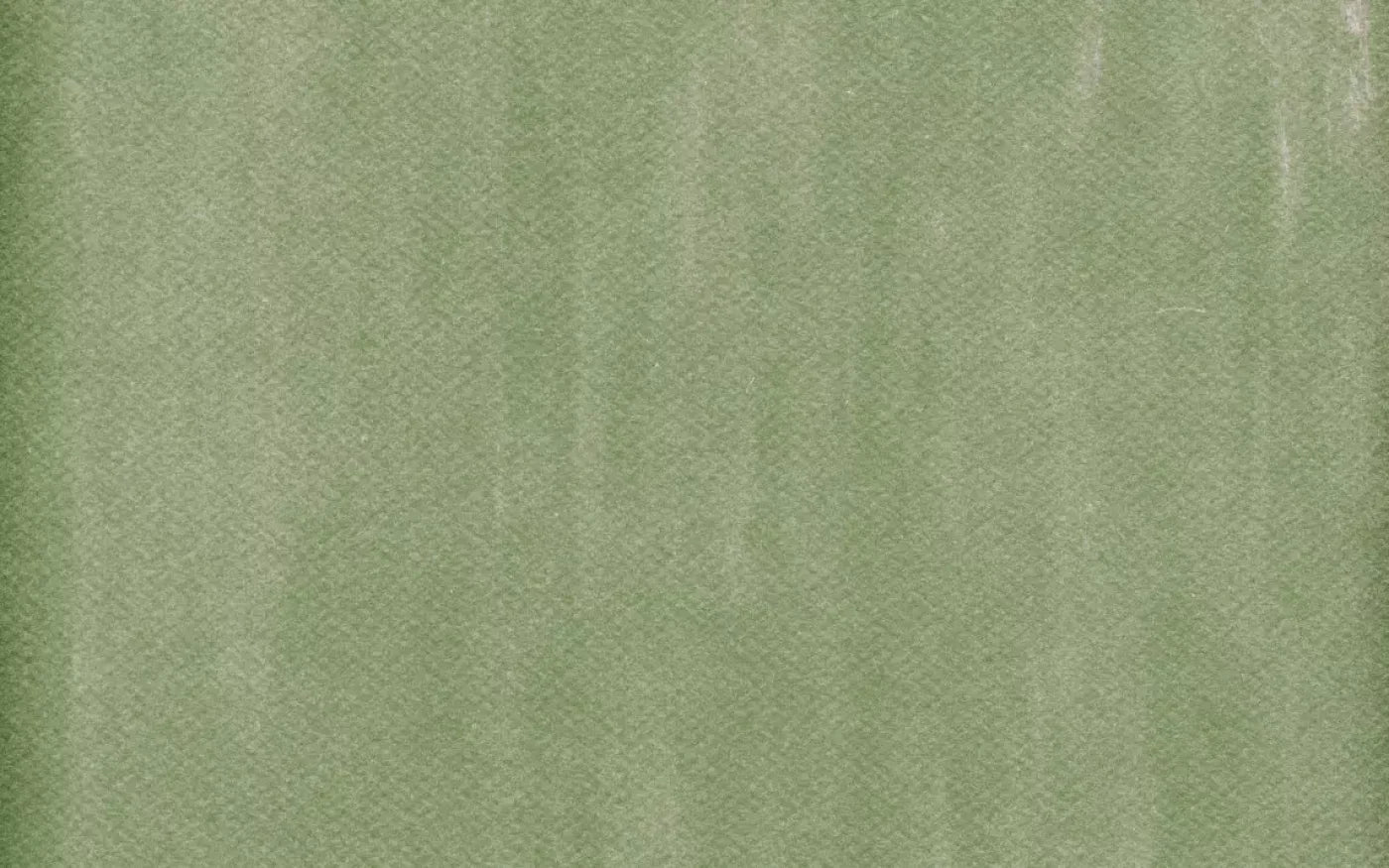Mossy 14X9 Ultracloth ( 168 X 108 Inch ) Backdrop