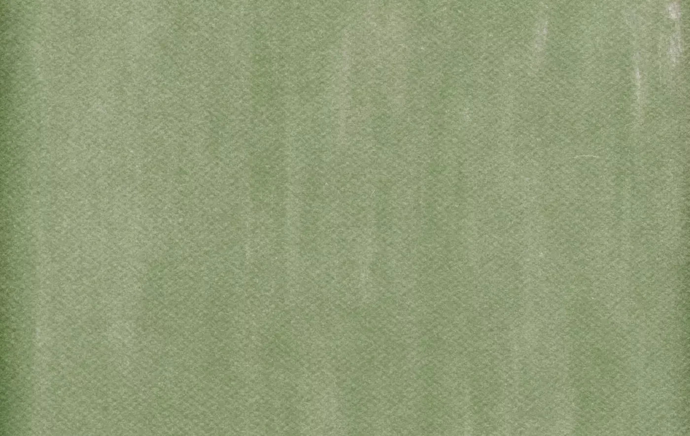 Mossy 16X10 Ultracloth ( 192 X 120 Inch ) Backdrop
