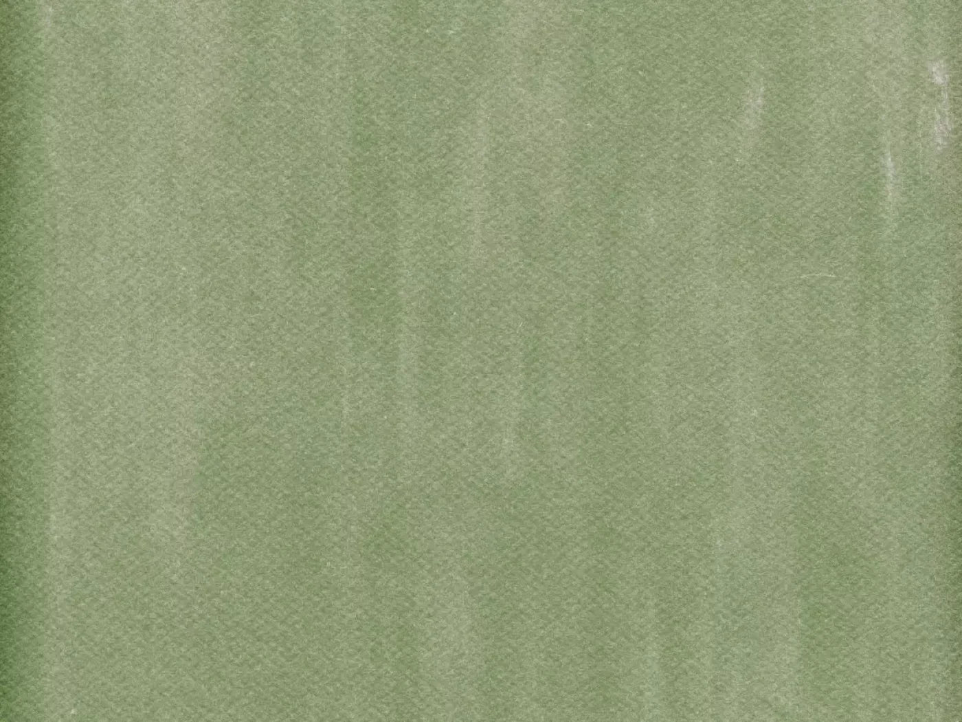 Mossy 68X5 Fleece ( 80 X 60 Inch ) Backdrop
