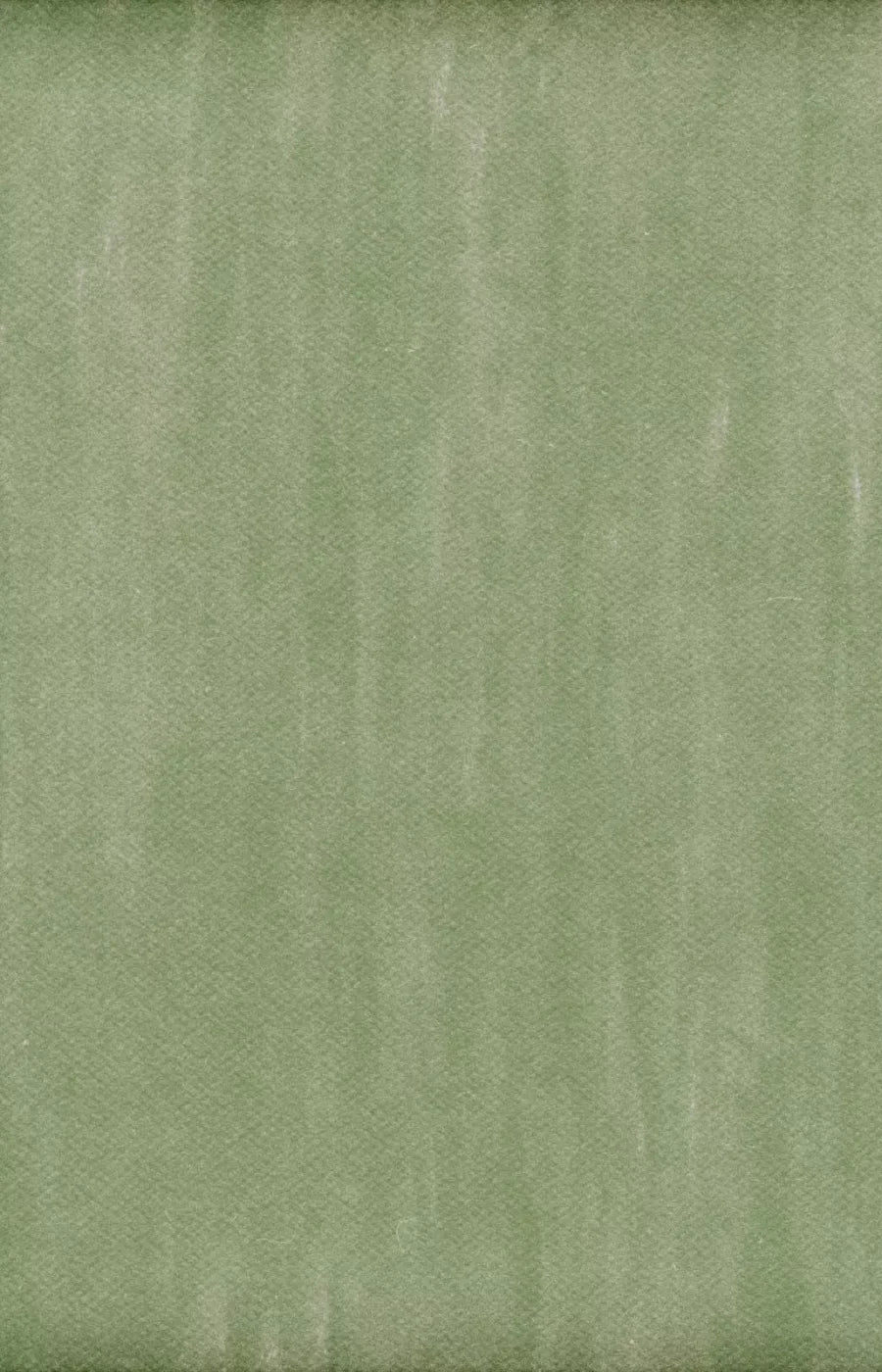 Mossy 8X12 Ultracloth ( 96 X 144 Inch ) Backdrop