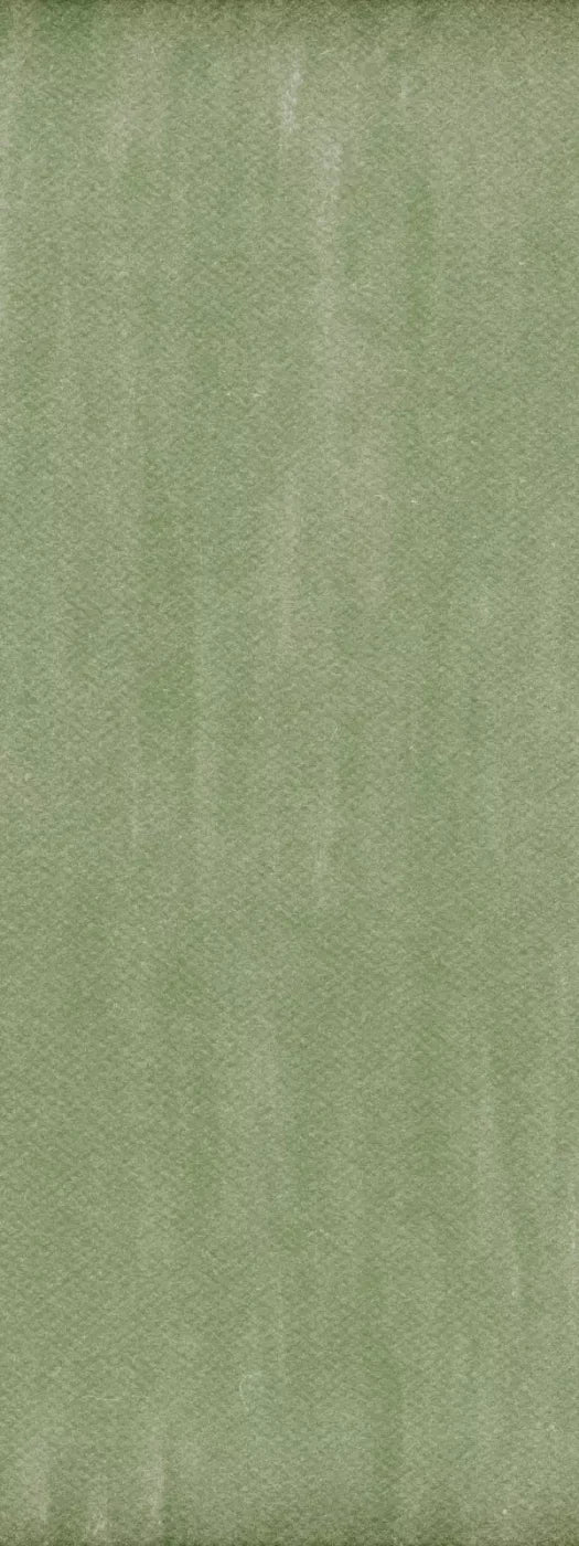 Mossy 8X20 Ultracloth ( 96 X 240 Inch ) Backdrop