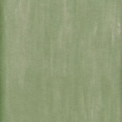 Mossy Backdrop
