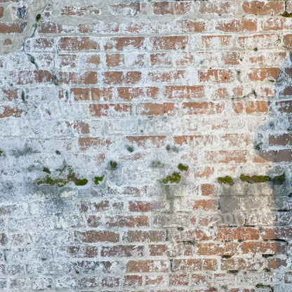 Mossy Brick 10X10 Ultracloth ( 120 X Inch ) Backdrop