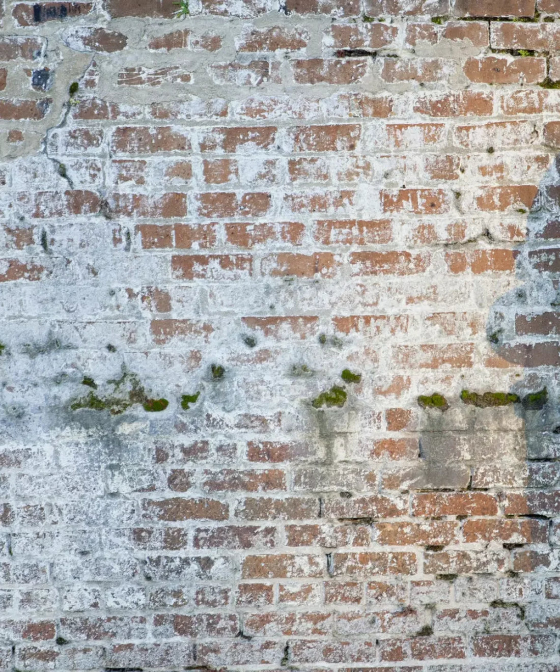 Beige Brick and Stone Backdrop for Photography