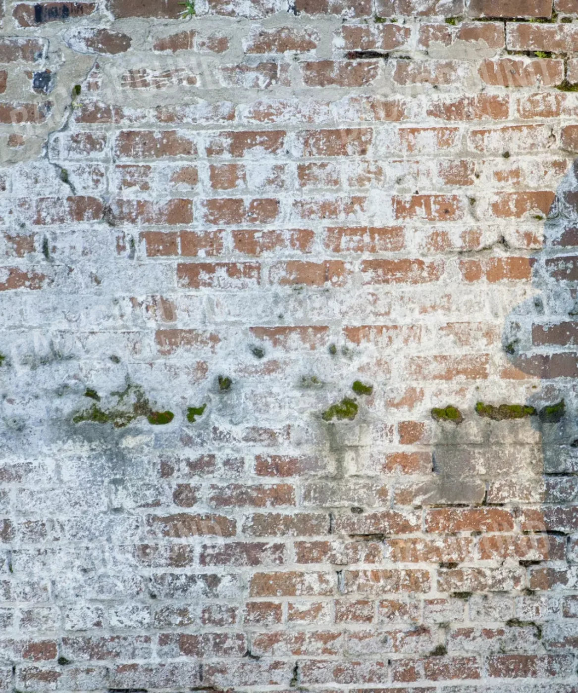 Beige Brick and Stone Backdrop for Photography