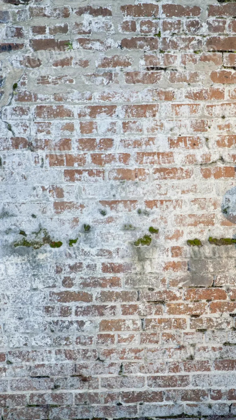 Mossy Brick 8X14 Ultracloth ( 96 X 168 Inch ) Backdrop