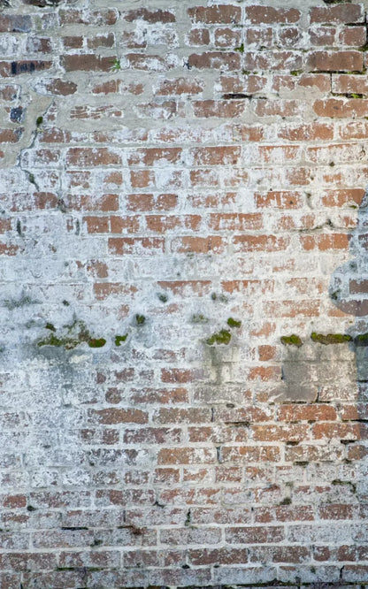 Mossy Brick 9X14 Ultracloth ( 108 X 168 Inch ) Backdrop