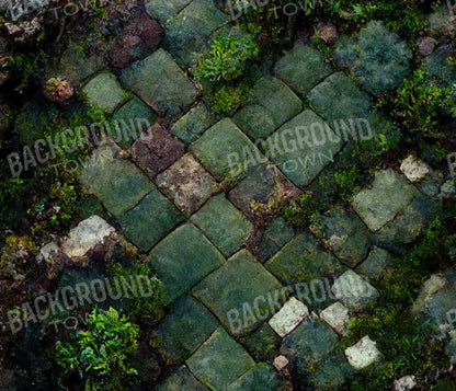 Mossy Flagstone 12X10 Ultracloth ( 144 X 120 Inch ) Backdrop