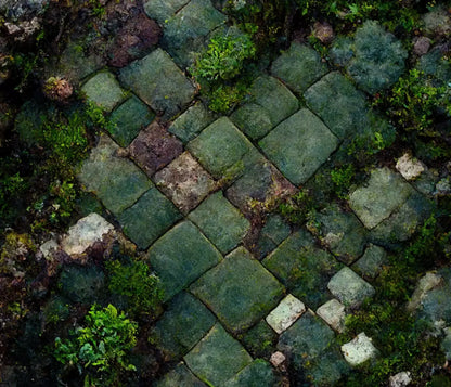 Mossy Flagstone 12X10 Ultracloth ( 144 X 120 Inch ) Backdrop