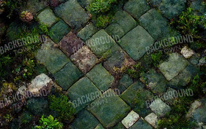 Mossy Flagstone 14X9 Ultracloth ( 168 X 108 Inch ) Backdrop
