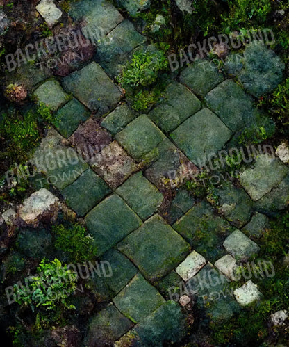 moss cobblestone path Backdrop for Photography