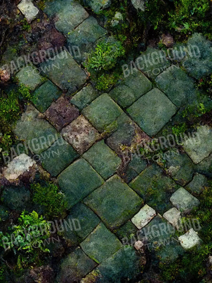 Mossy Flagstone 5X68 Fleece ( 60 X 80 Inch ) Backdrop