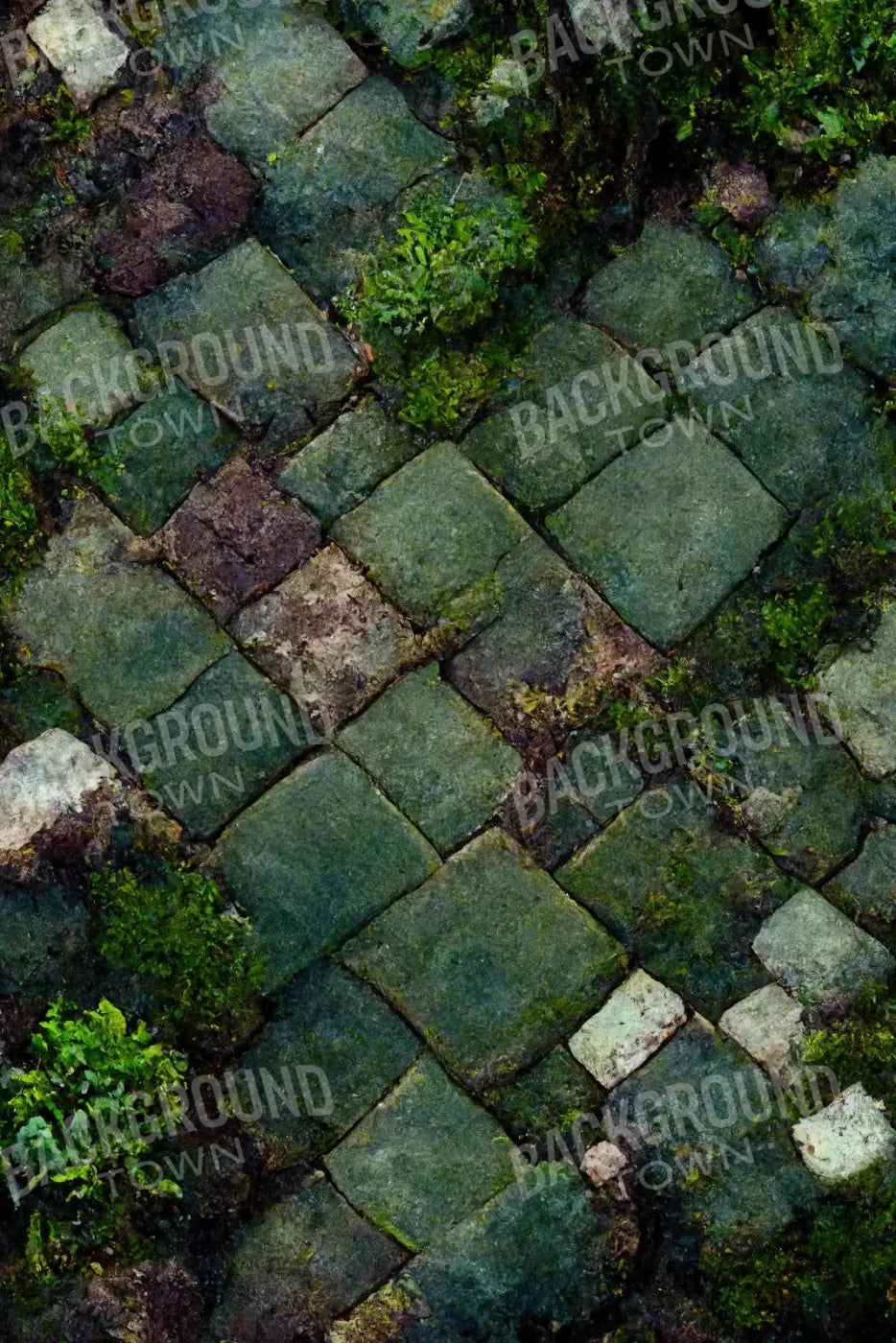Mossy Flagstone 5X8 Ultracloth ( 60 X 96 Inch ) Backdrop