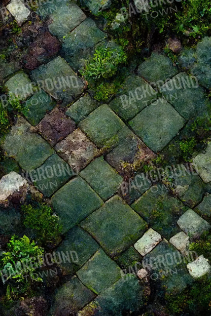 Mossy Flagstone 5X8 Ultracloth ( 60 X 96 Inch ) Backdrop